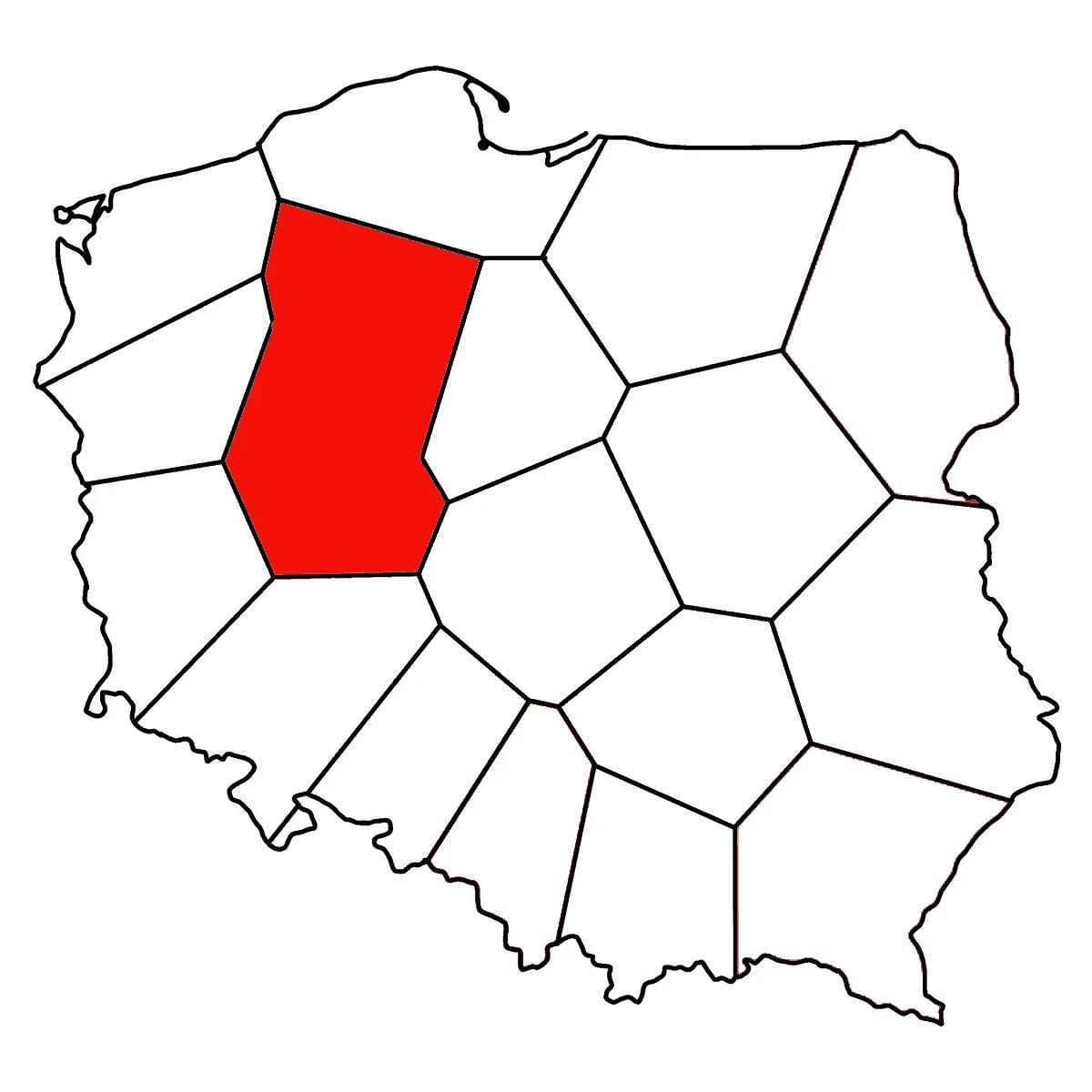 Import samochodów z USA - Wielkopolskie