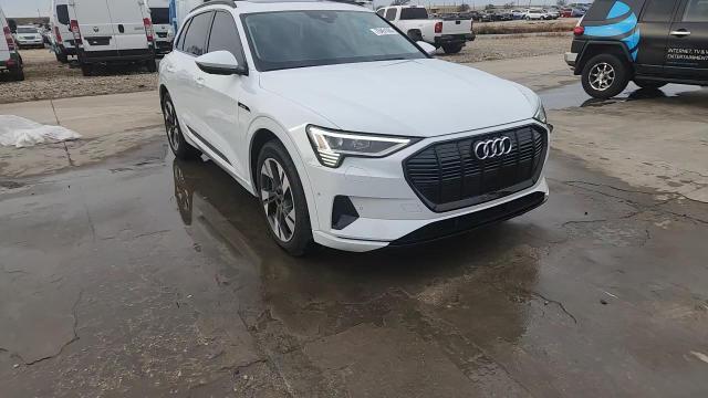 2021 Audi E-Tron Premium - zdjęcie 13