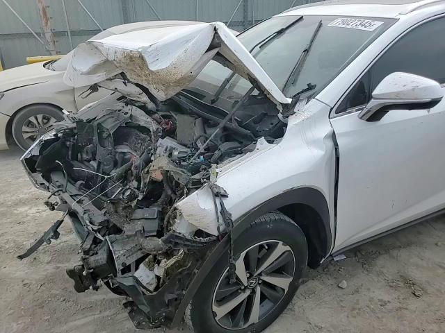 2020 Lexus Nx 300H Base - zdjęcie 13