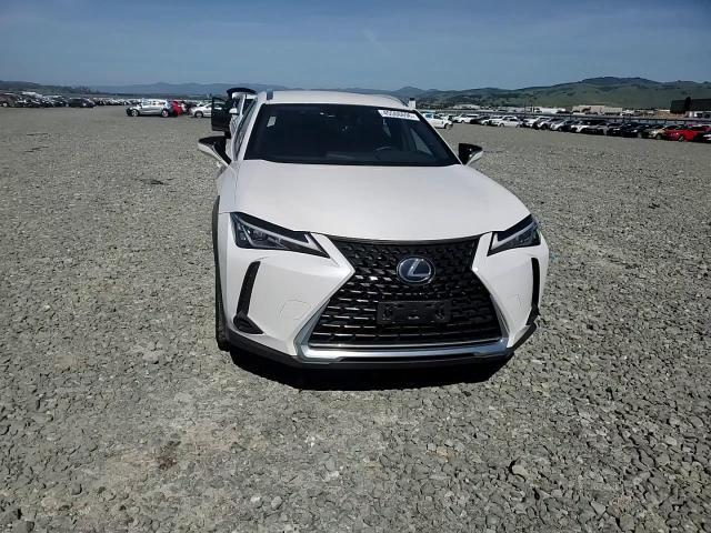 2020 Lexus Ux 250H Base - zdjęcie 14