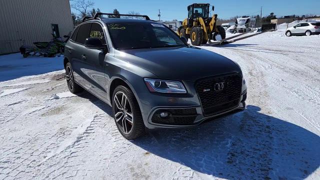 2017 Audi Sq5 Premium Plus - zdjęcie 14