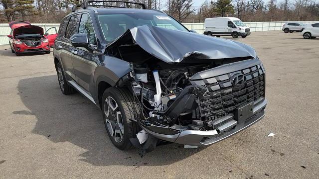 2024 Hyundai Palisade Sel - zdjęcie 14