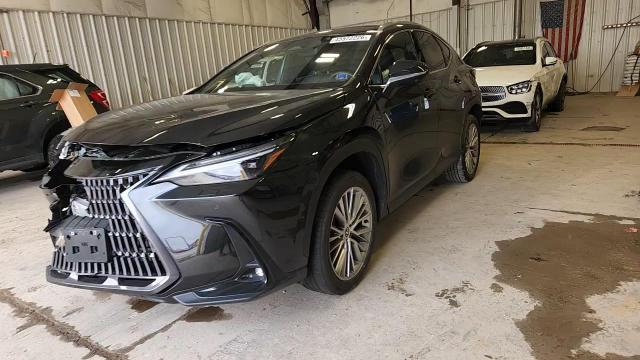 2024 Lexus Nx 350H Luxury - zdjęcie 13