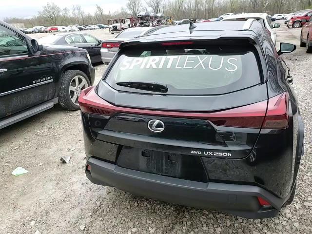 2024 Lexus Ux 250H Premium - zdjęcie 12