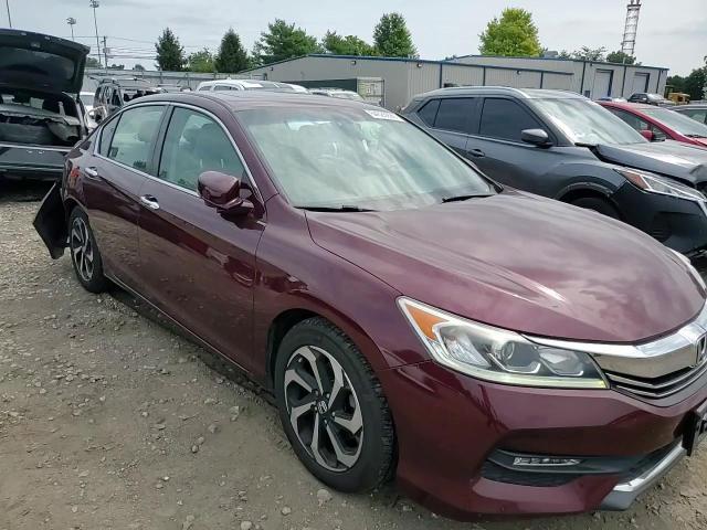 2017 Honda Accord Exl - zdjęcie 13