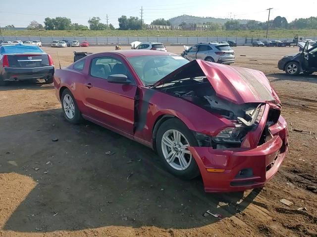 2014 Ford Mustang - zdjęcie 13