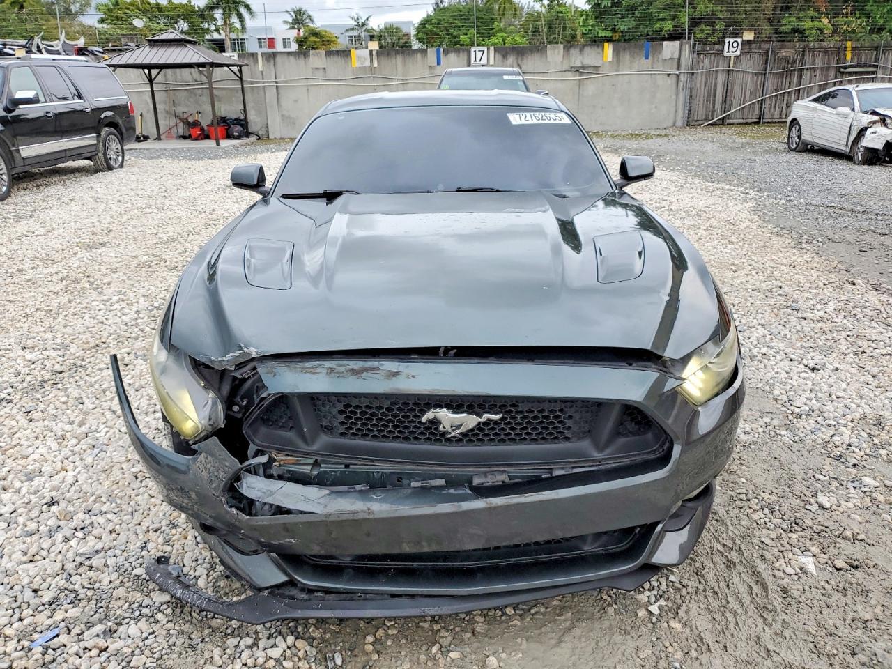 2015 Ford Mustang Gt - zdjęcie 5