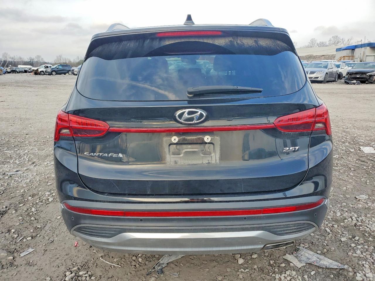2021 Hyundai Santa Fe Limited - zdjęcie 6