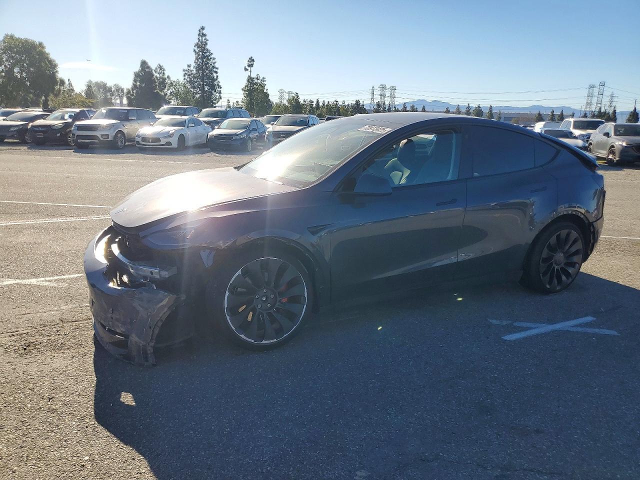 2022 Tesla Model Y - zdjęcie główne