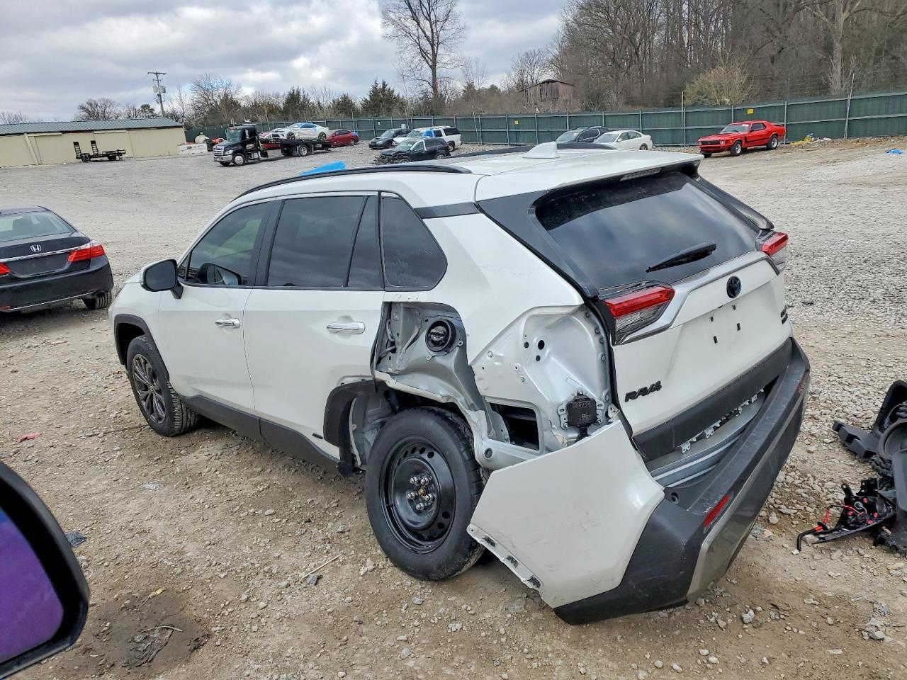 2024 Toyota Rav4 Limited - zdjęcie 2