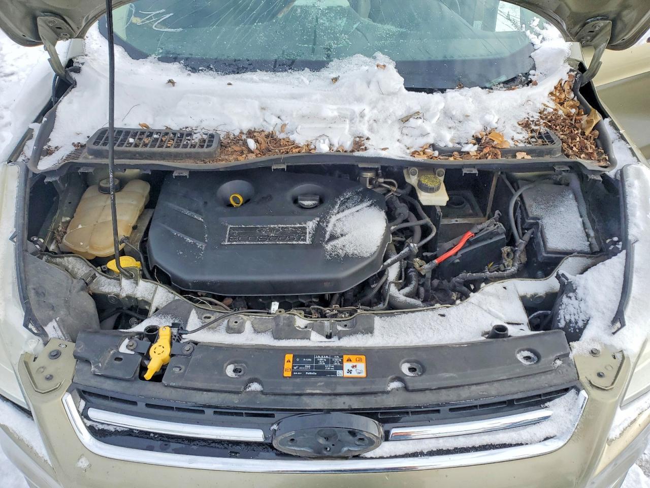 2013 Ford Escape Sel - zdjęcie 12