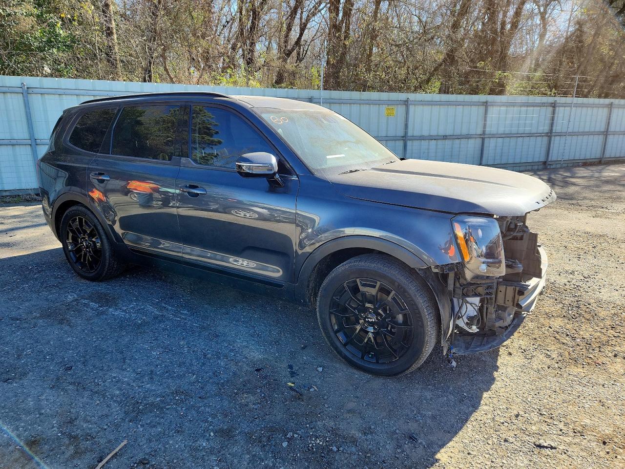 2022 Kia Telluride Sx - zdjęcie 7