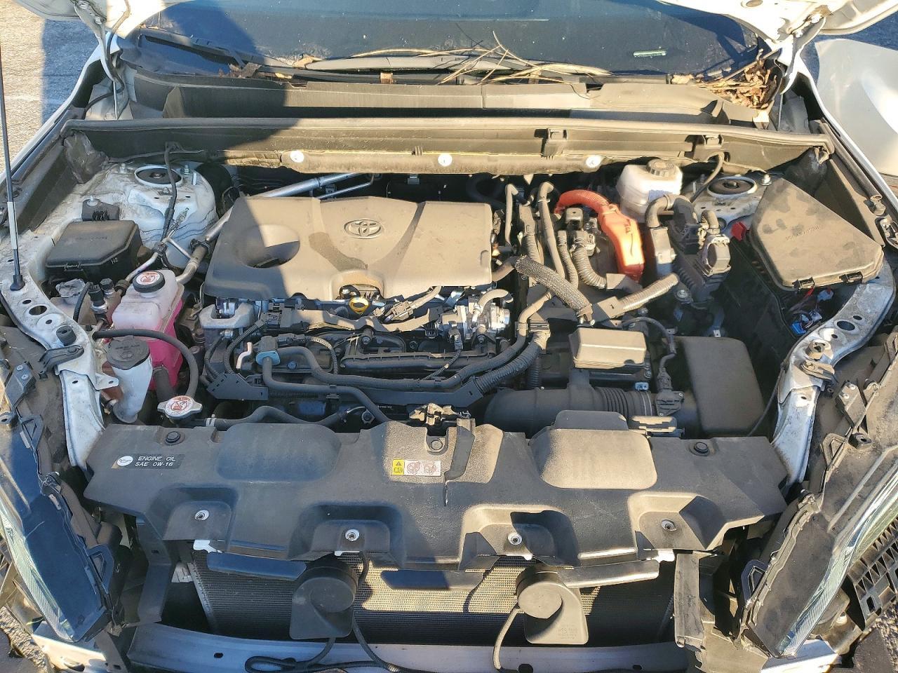 2023 Toyota Venza Le - zdjęcie 12