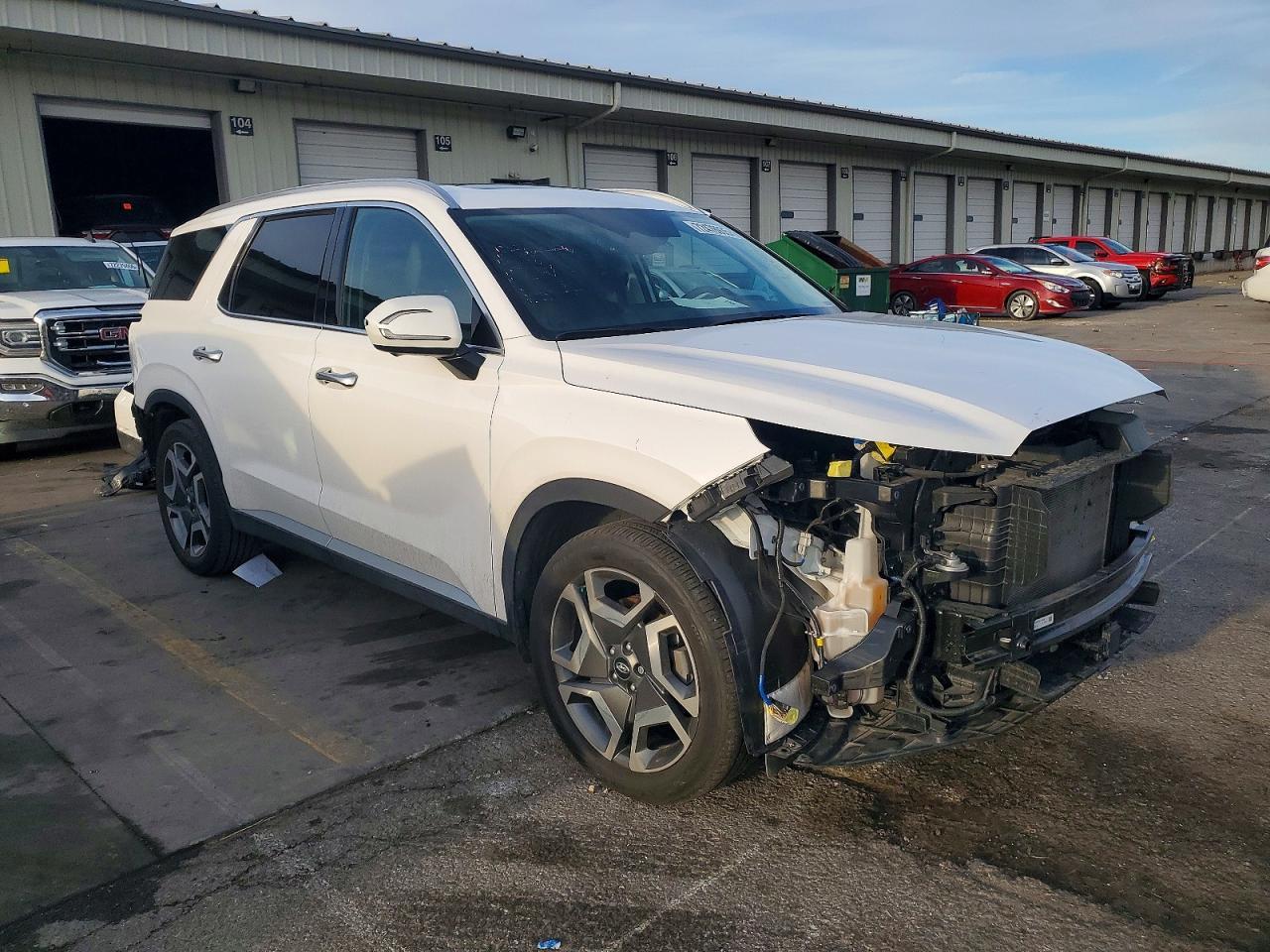 2024 Hyundai Palisade Sel Premium - zdjęcie 4