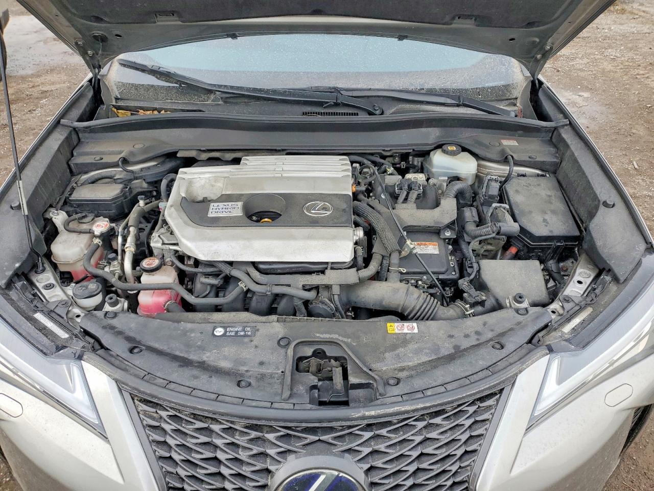 2021 Lexus Ux 250H - zdjęcie 12