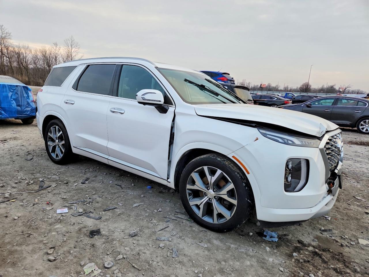 2021 Hyundai Palisade Limited - zdjęcie 4