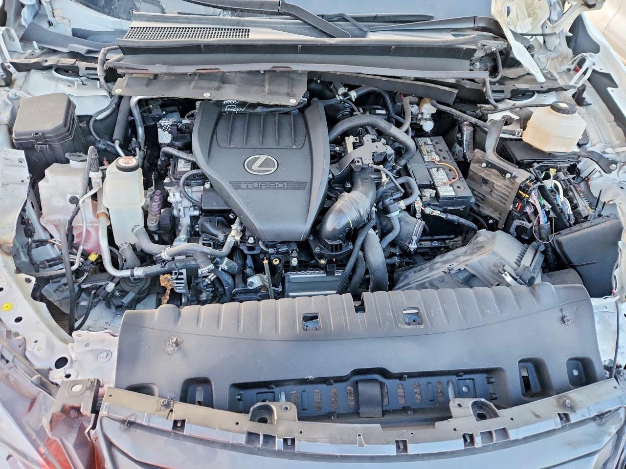 2024 Lexus Tx 350 Base - zdjęcie 12