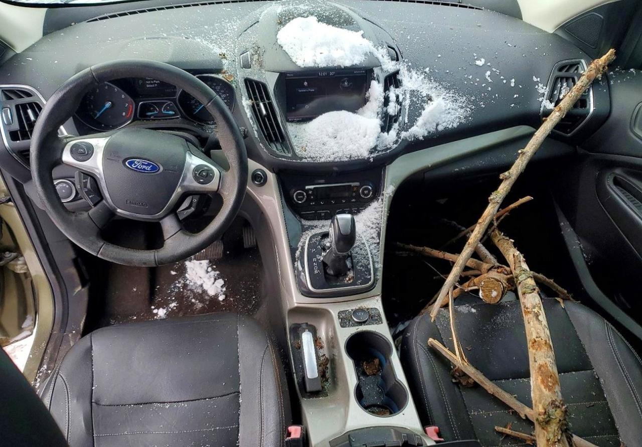 2013 Ford Escape Sel - zdjęcie 8