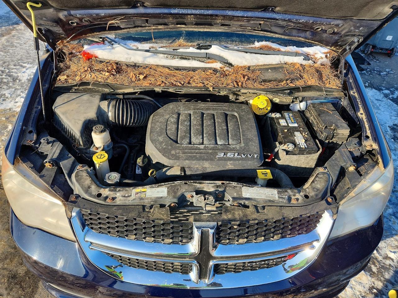 2013 Dodge Grand Caravan Se - zdjęcie 11