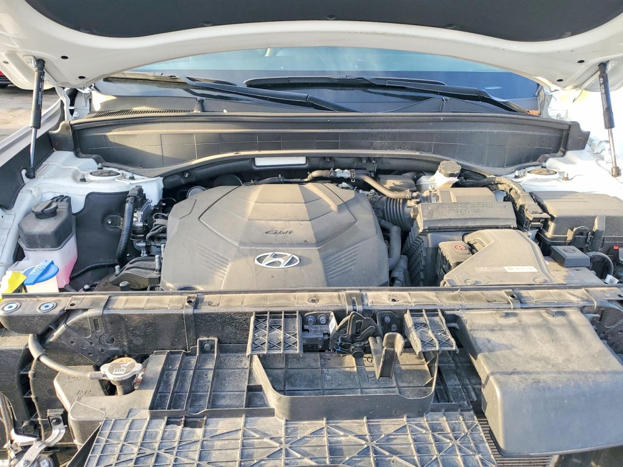 2024 Hyundai Palisade Sel Premium - zdjęcie 12