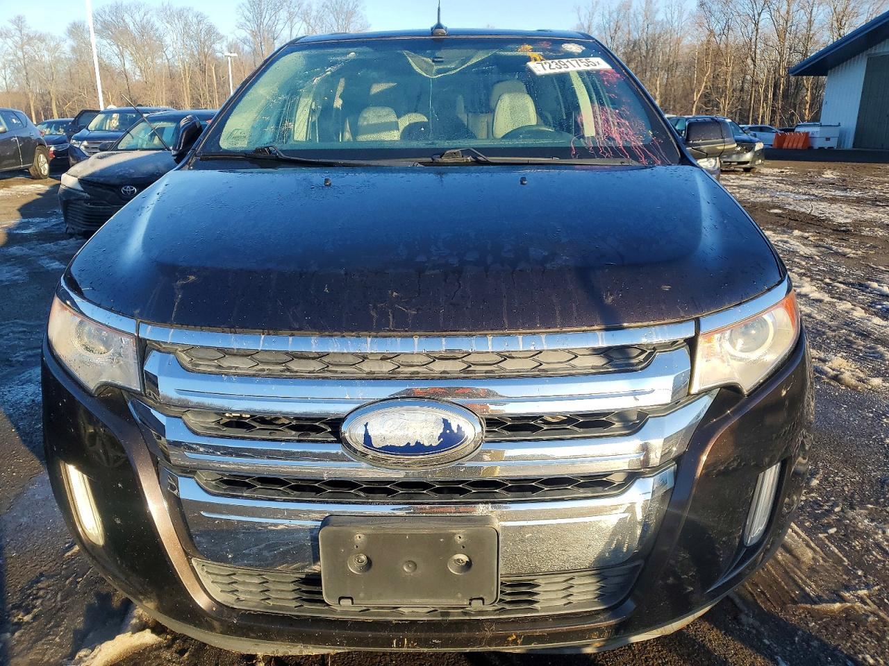 2013 Ford Edge Sel - zdjęcie 5