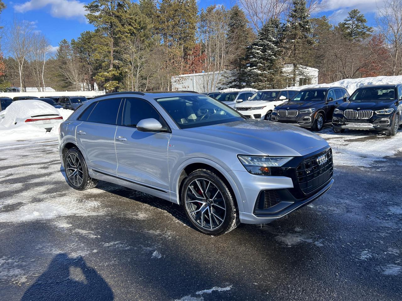 2019 Audi Q8