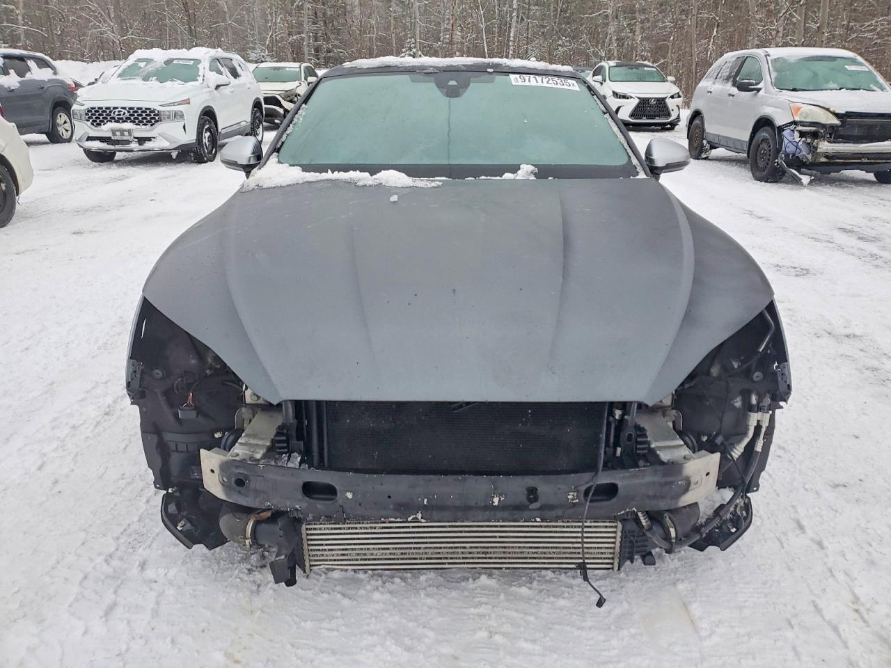 2019 Audi S5 Prestige - zdjęcie 5