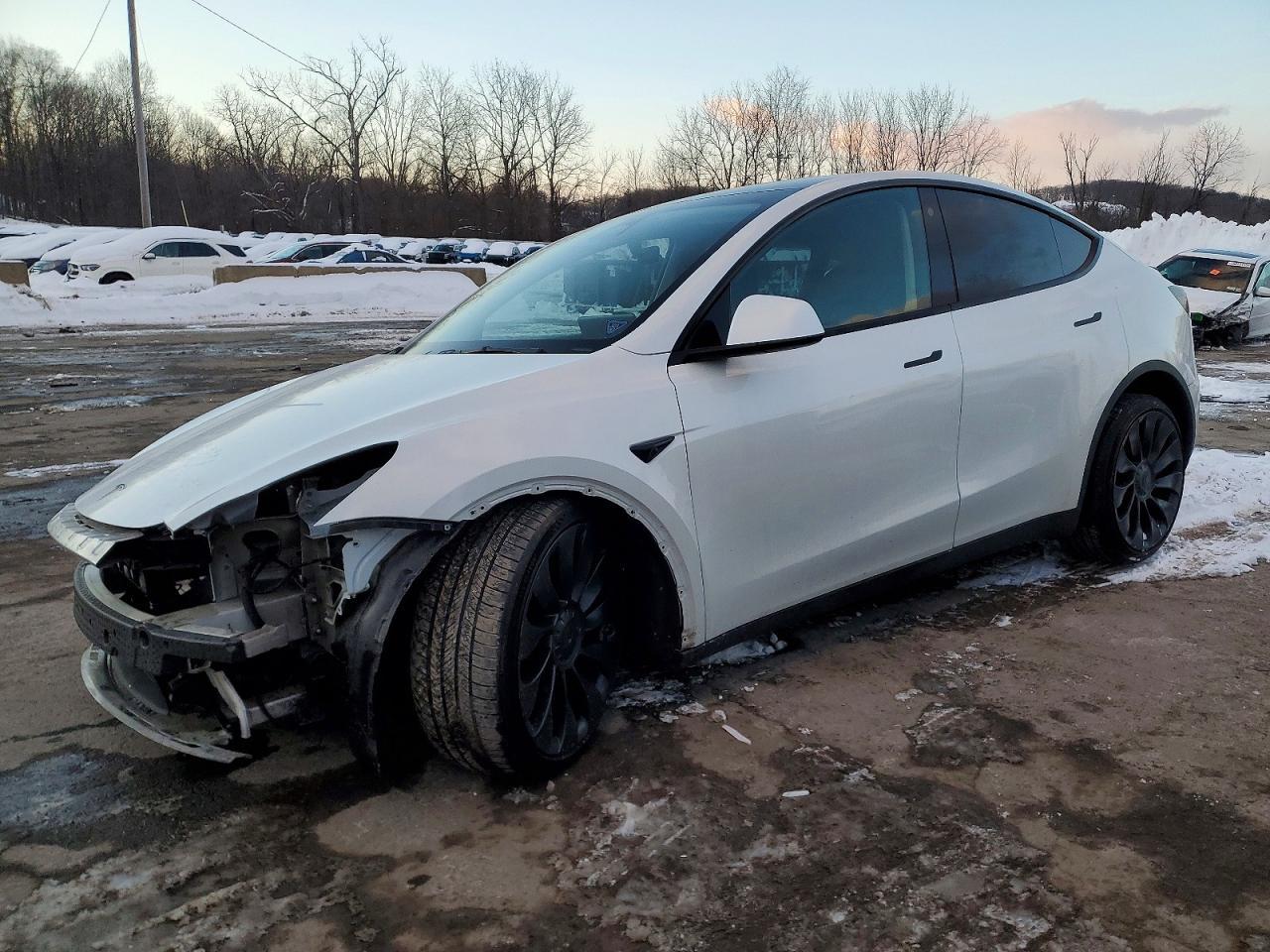 2022 Tesla Model Y - zdjęcie główne