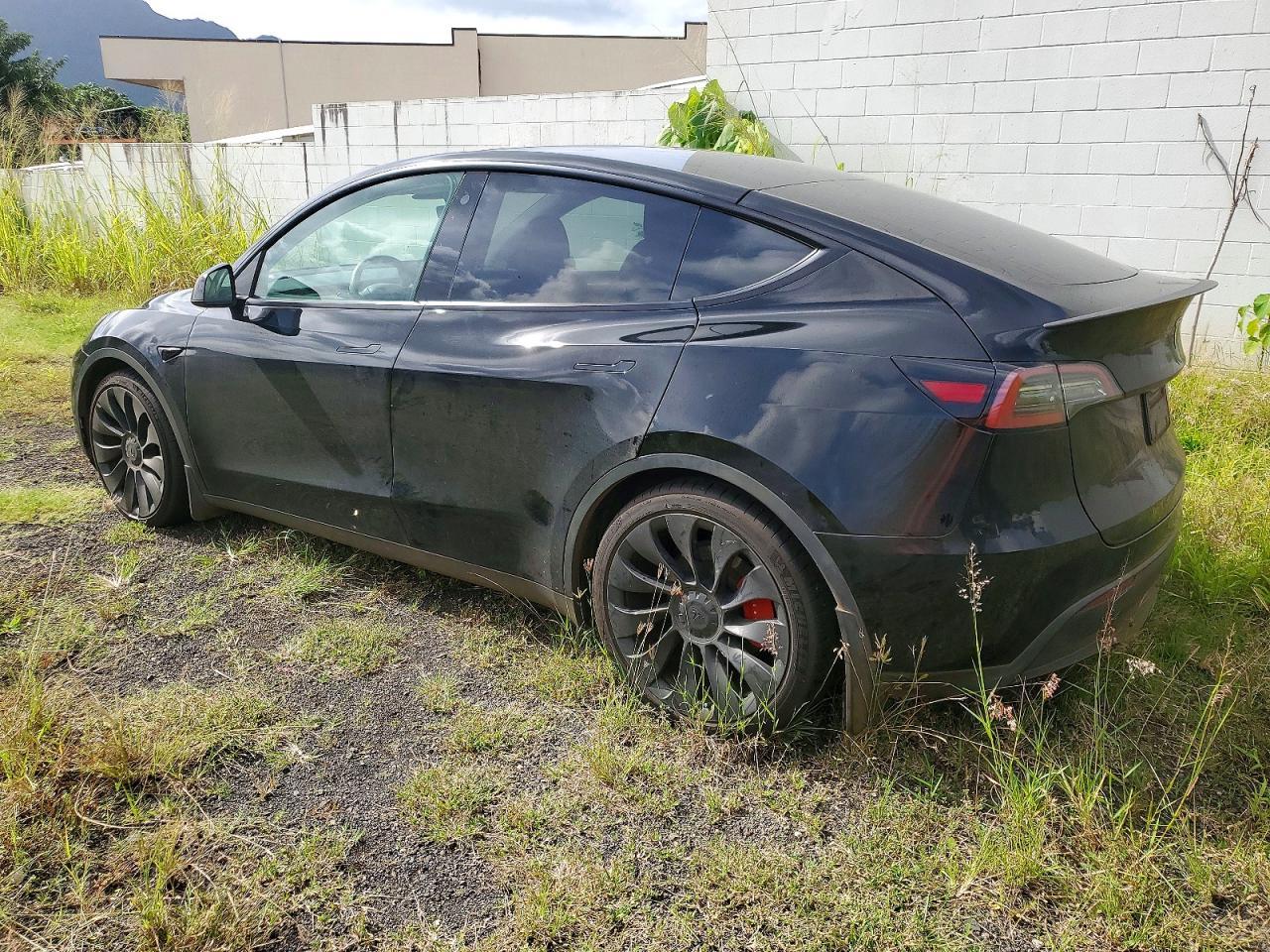 2023 Tesla Model Y - zdjęcie 2
