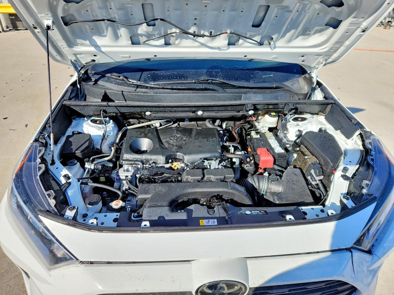 2019 Toyota Rav4 Xle - zdjęcie 12