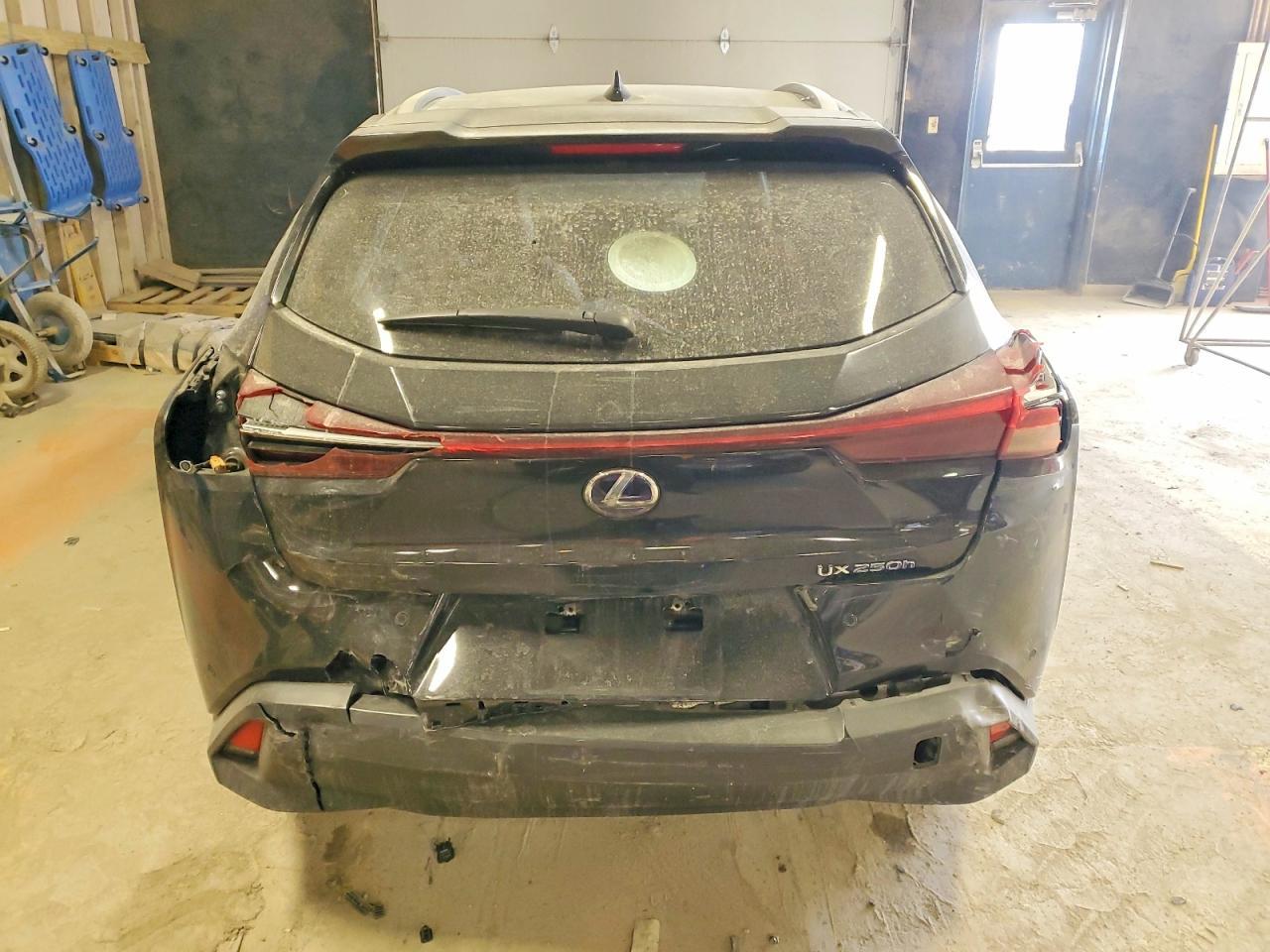 2021 Lexus Ux 250H - zdjęcie 6