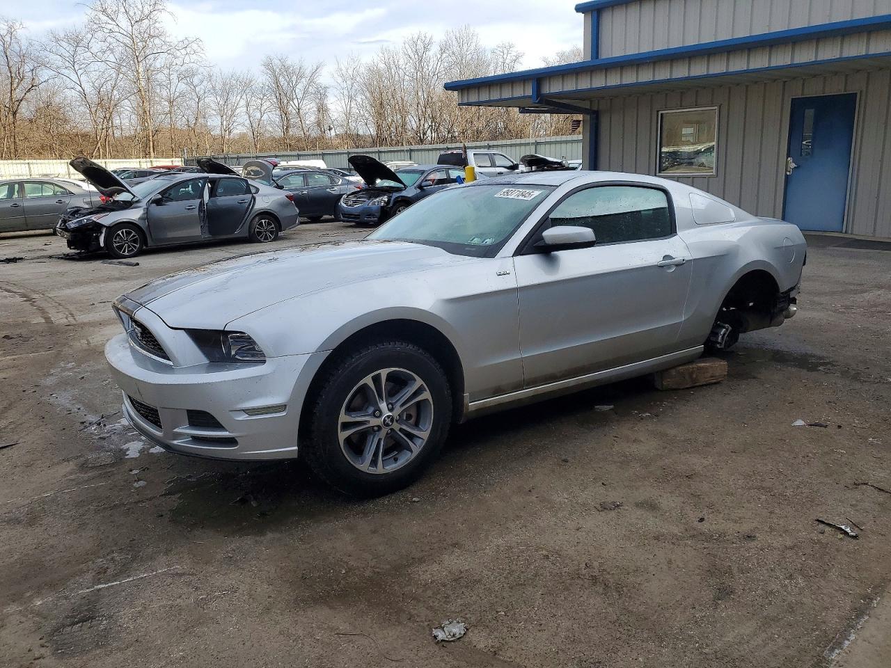 2014 Ford Mustang - zdjęcie główne