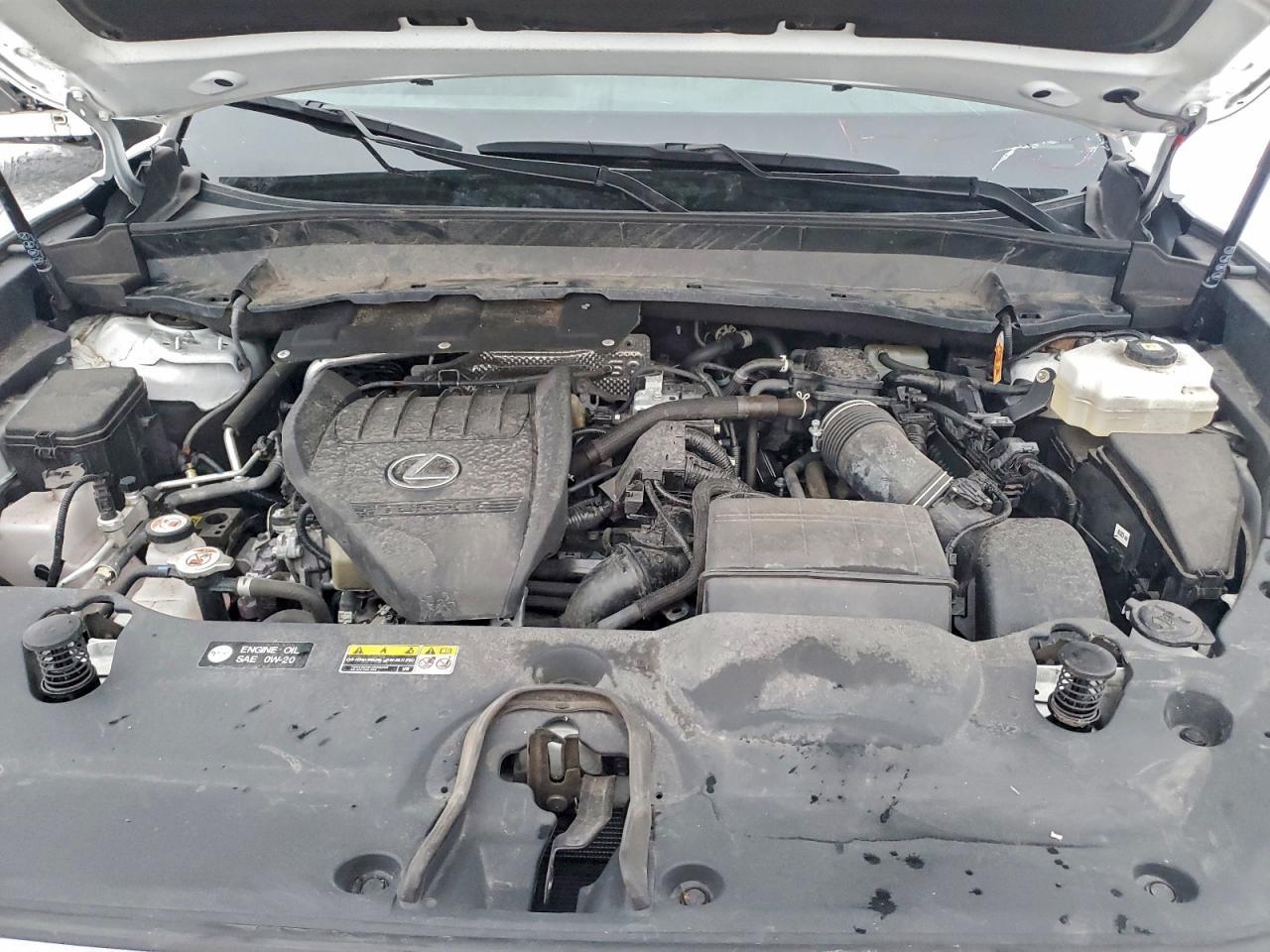 2024 Lexus Tx 500H F Sport Premium - zdjęcie 11