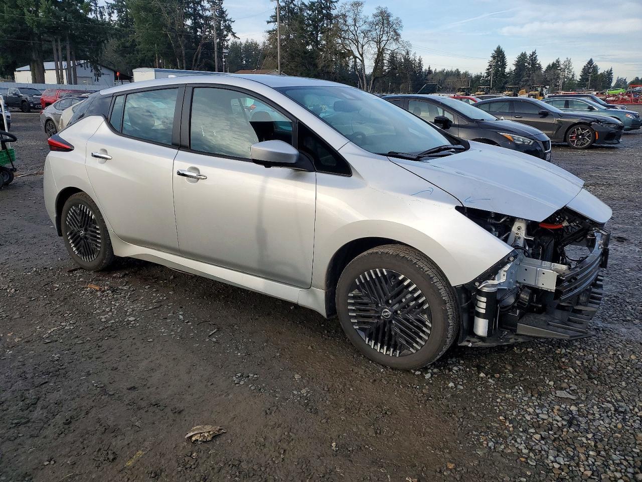 2025 Nissan Leaf Sv Plus - zdjęcie 4