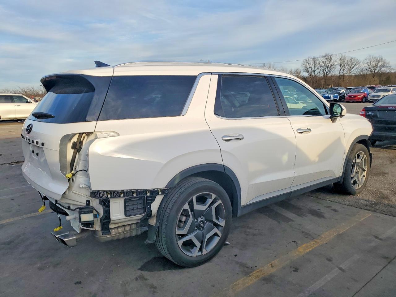 2024 Hyundai Palisade Sel Premium - zdjęcie 3