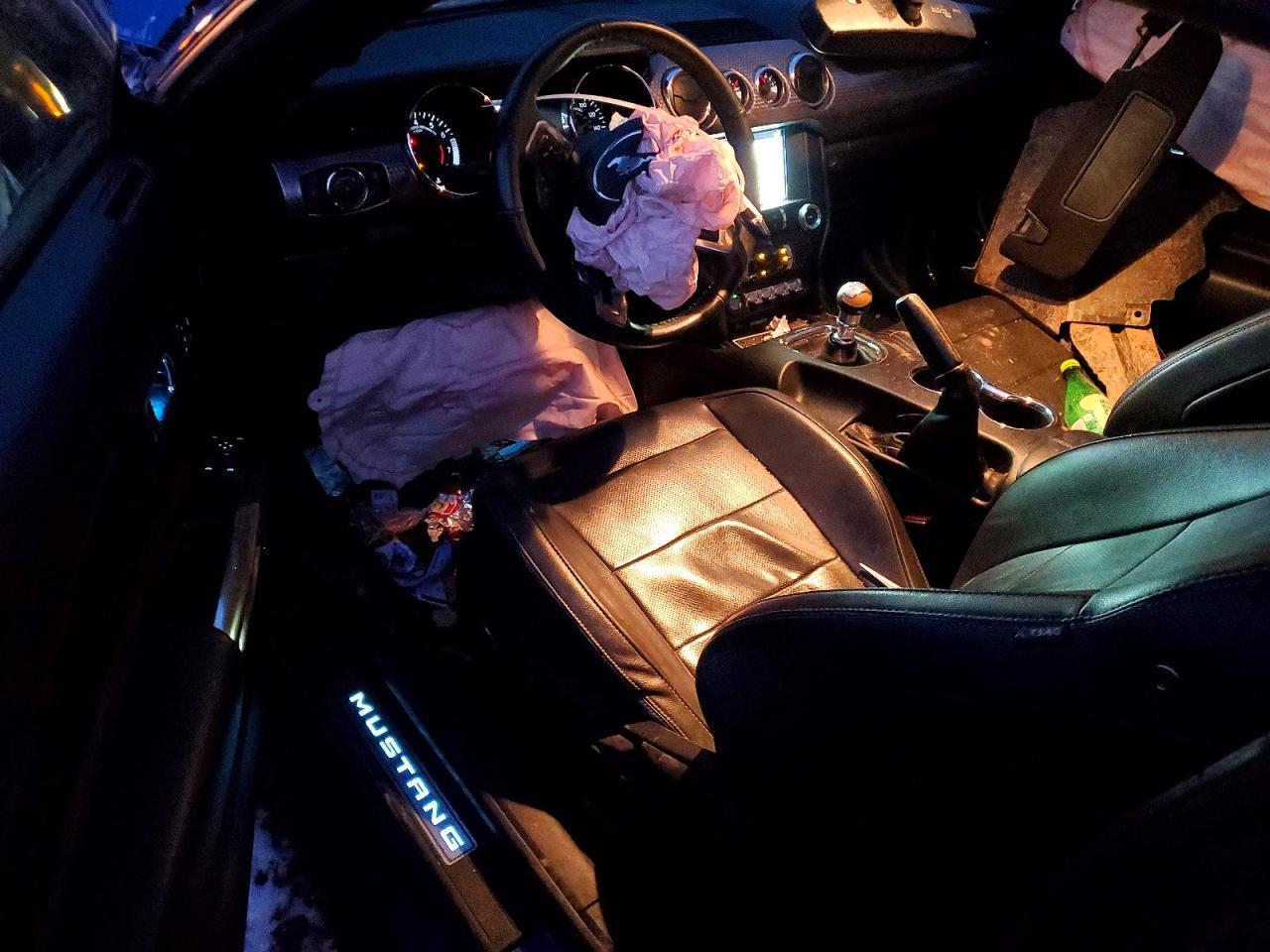 2017 Ford Mustang Gt - zdjęcie 8