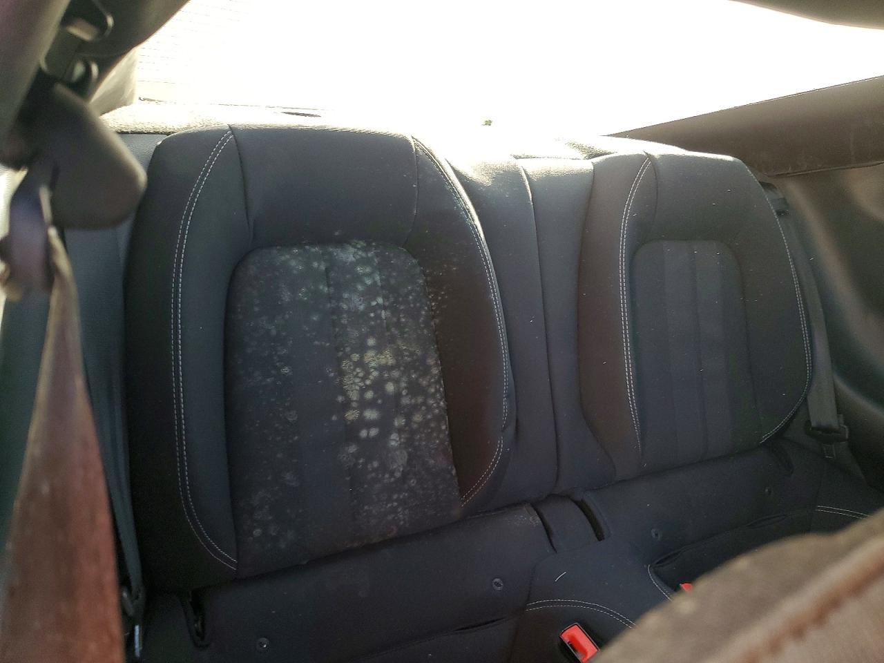 2019 Ford Mustang - zdjęcie 10