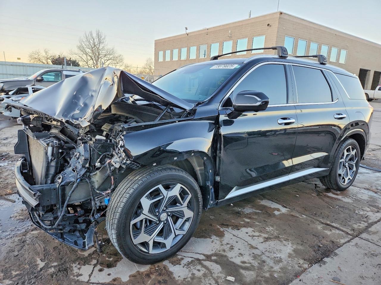 2021 Hyundai Palisade Calligraphy - zdjęcie główne