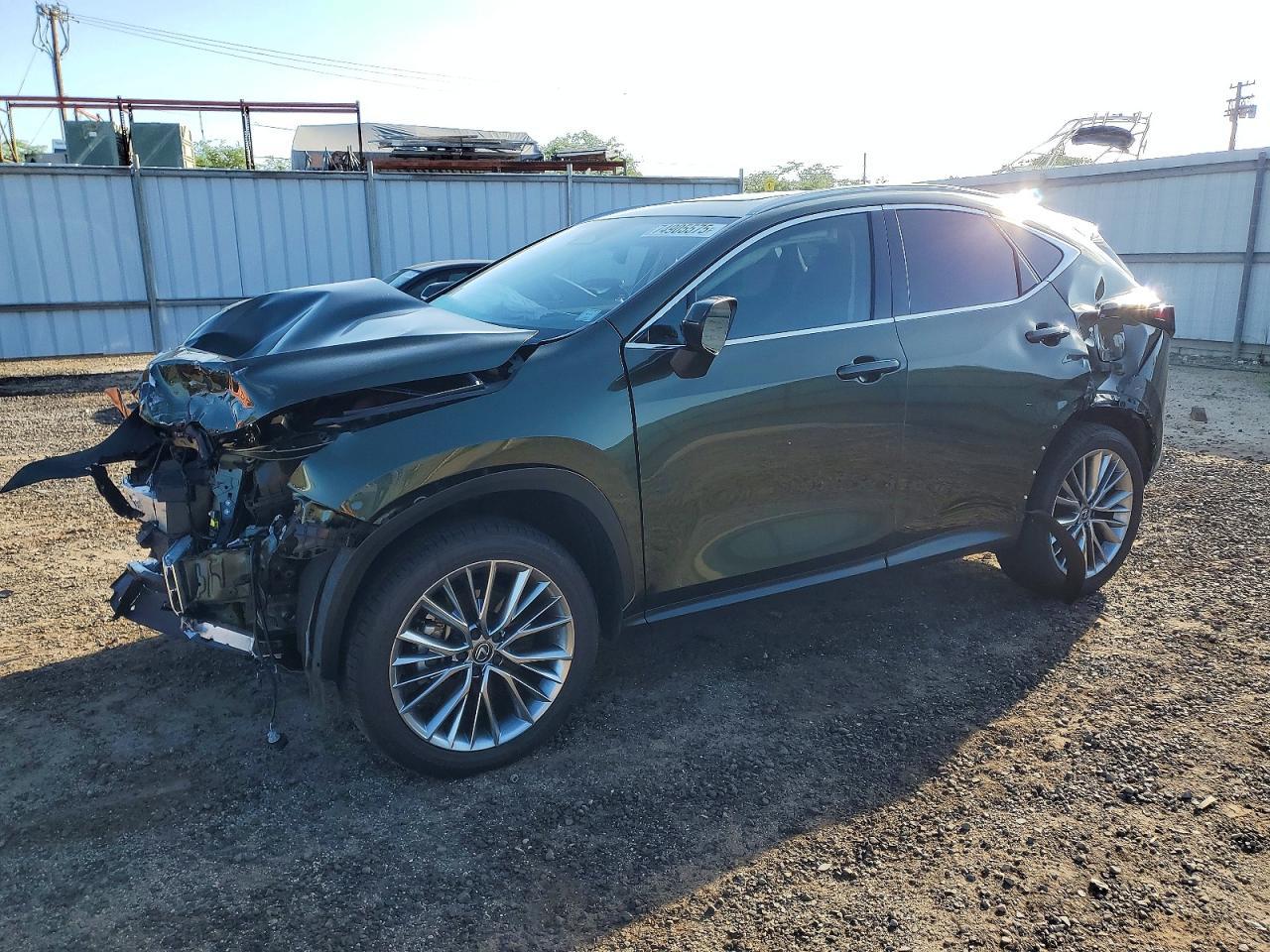 2025 Lexus NX