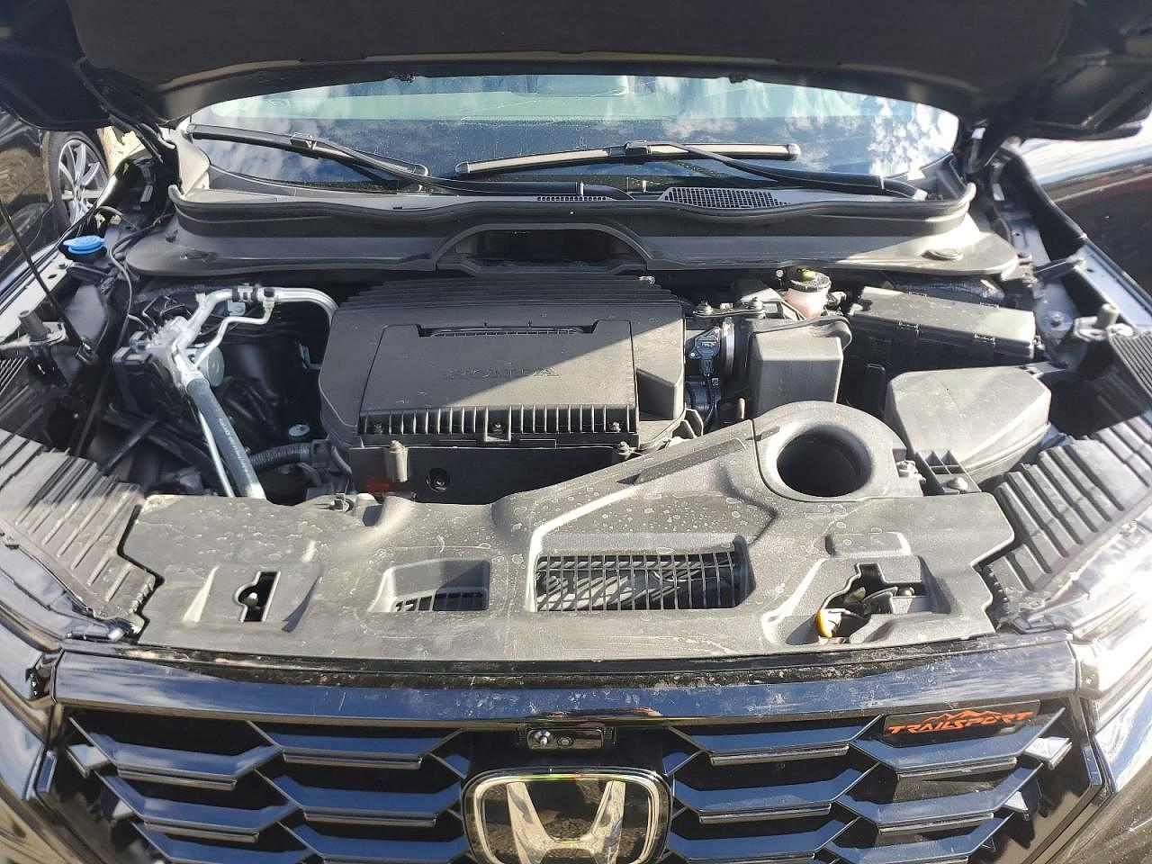 2025 Honda Pilot Trailsport - zdjęcie 12