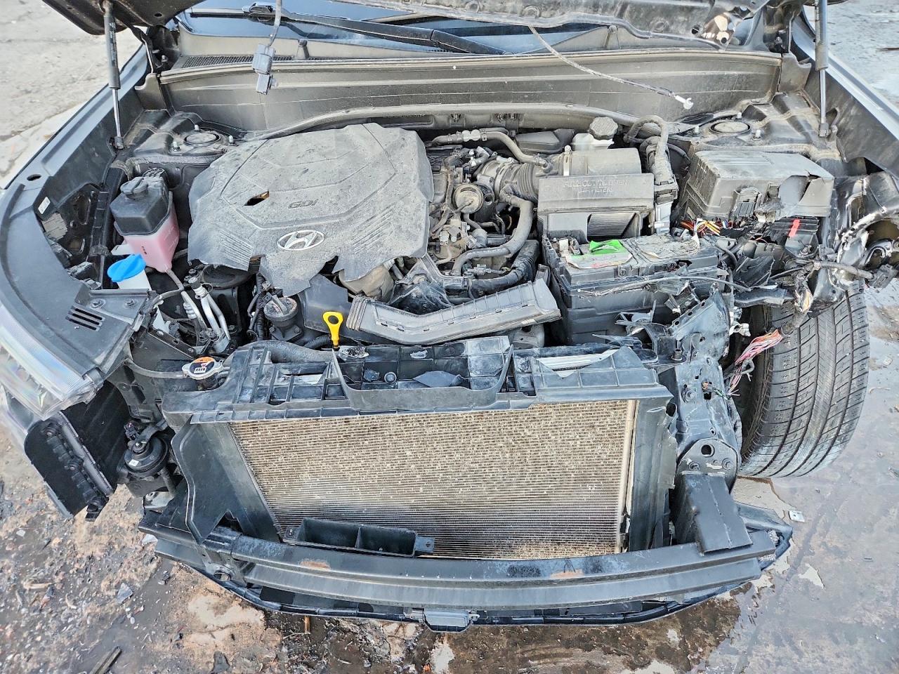 2021 Hyundai Palisade Calligraphy - zdjęcie 12