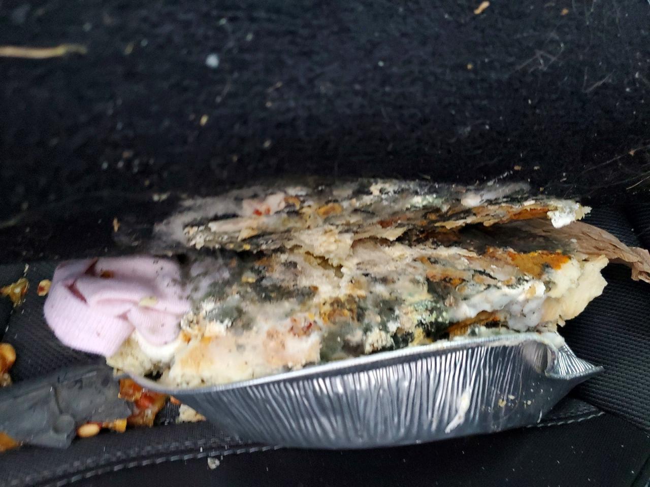 2020 Dodge Charger Sxt - zdjęcie 12