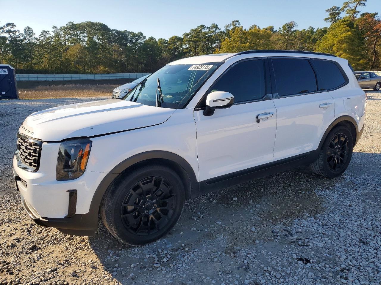 2021 Kia Telluride Ex - zdjęcie główne