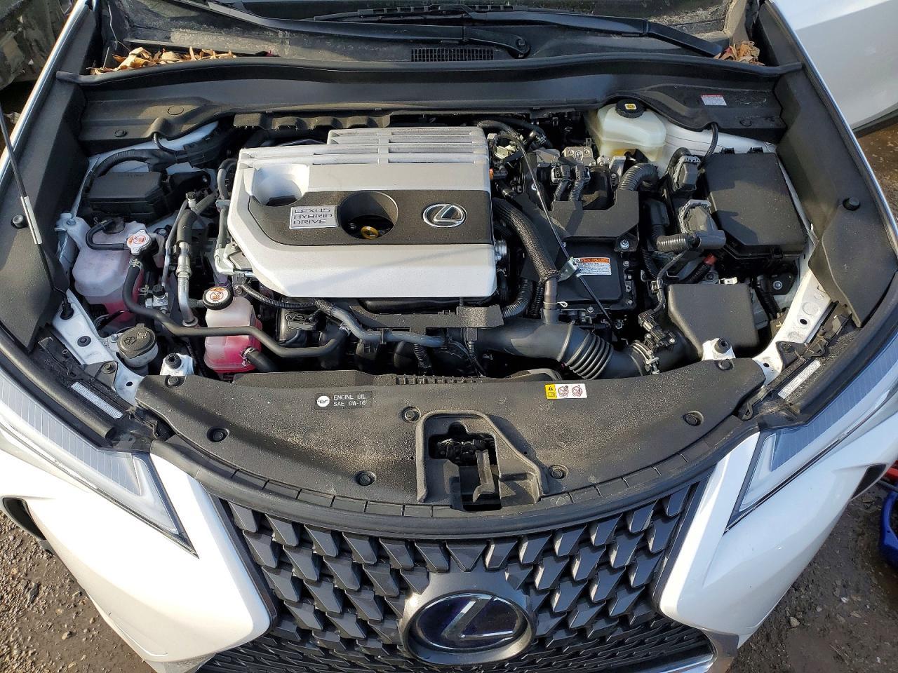 2020 Lexus Ux 250H - zdjęcie 11