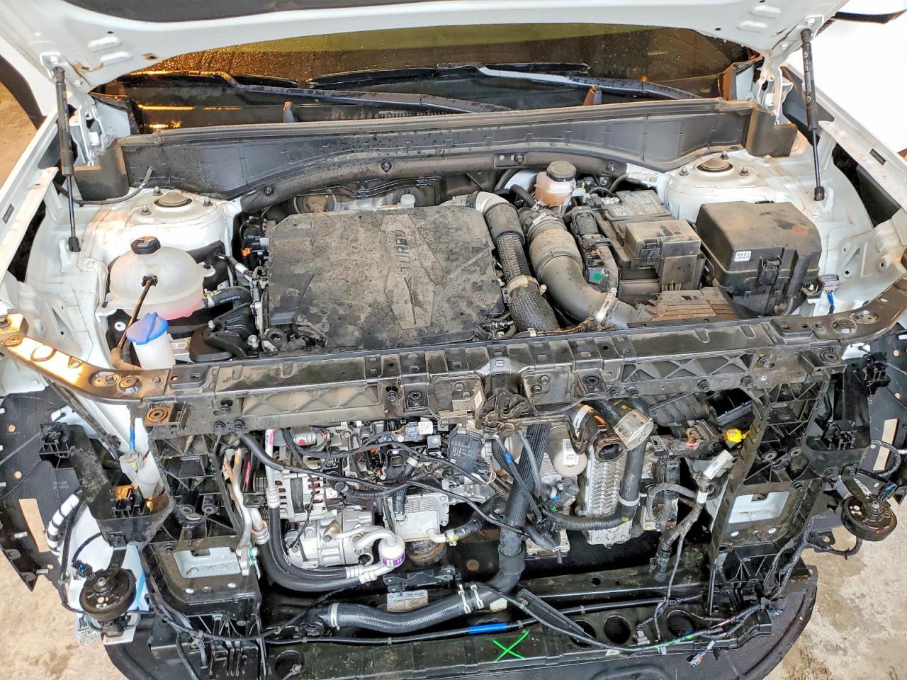 2025 Hyundai Santa Fe Limited - zdjęcie 12