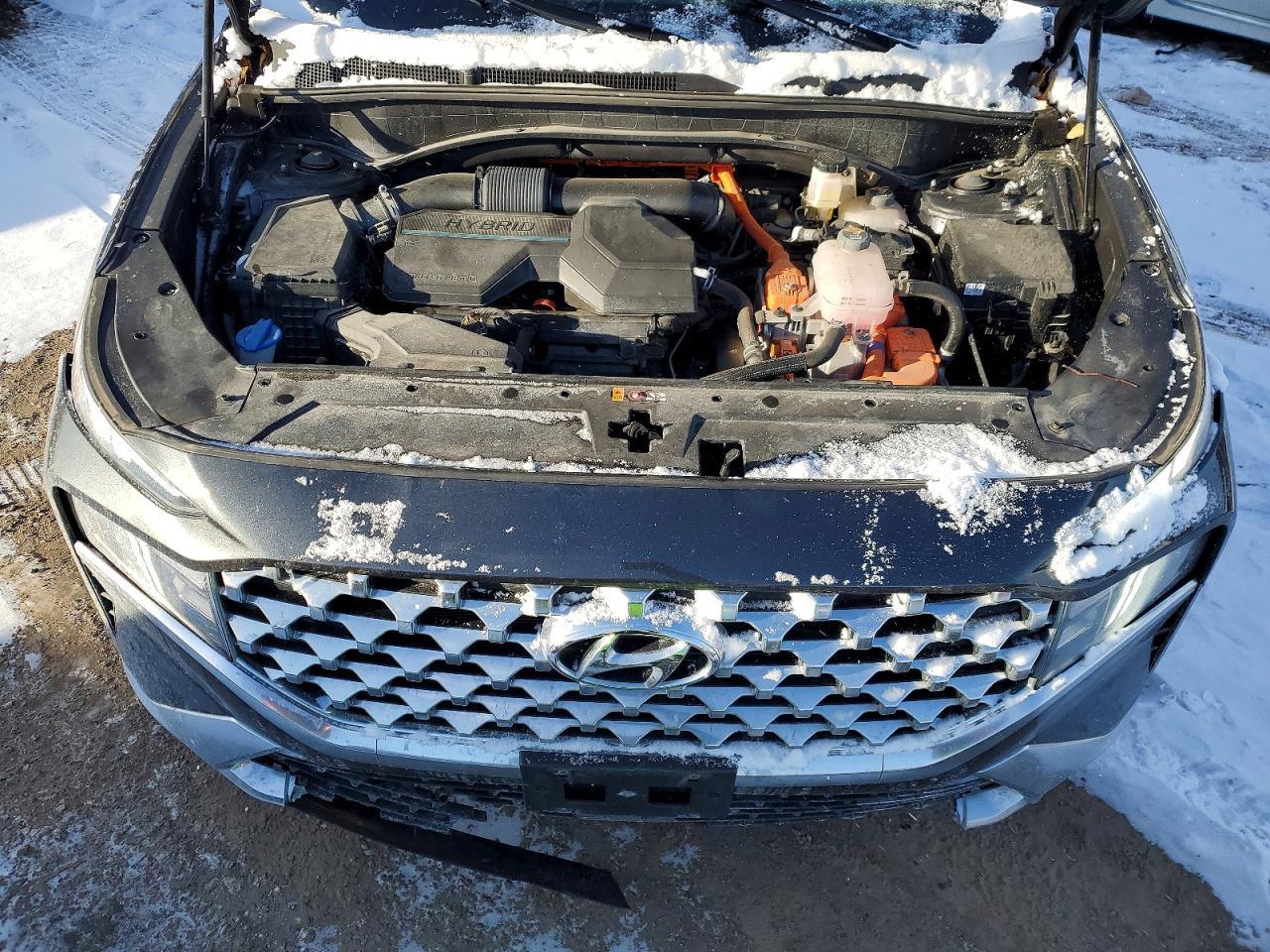 2023 Hyundai Santa Fe Blue - zdjęcie 11