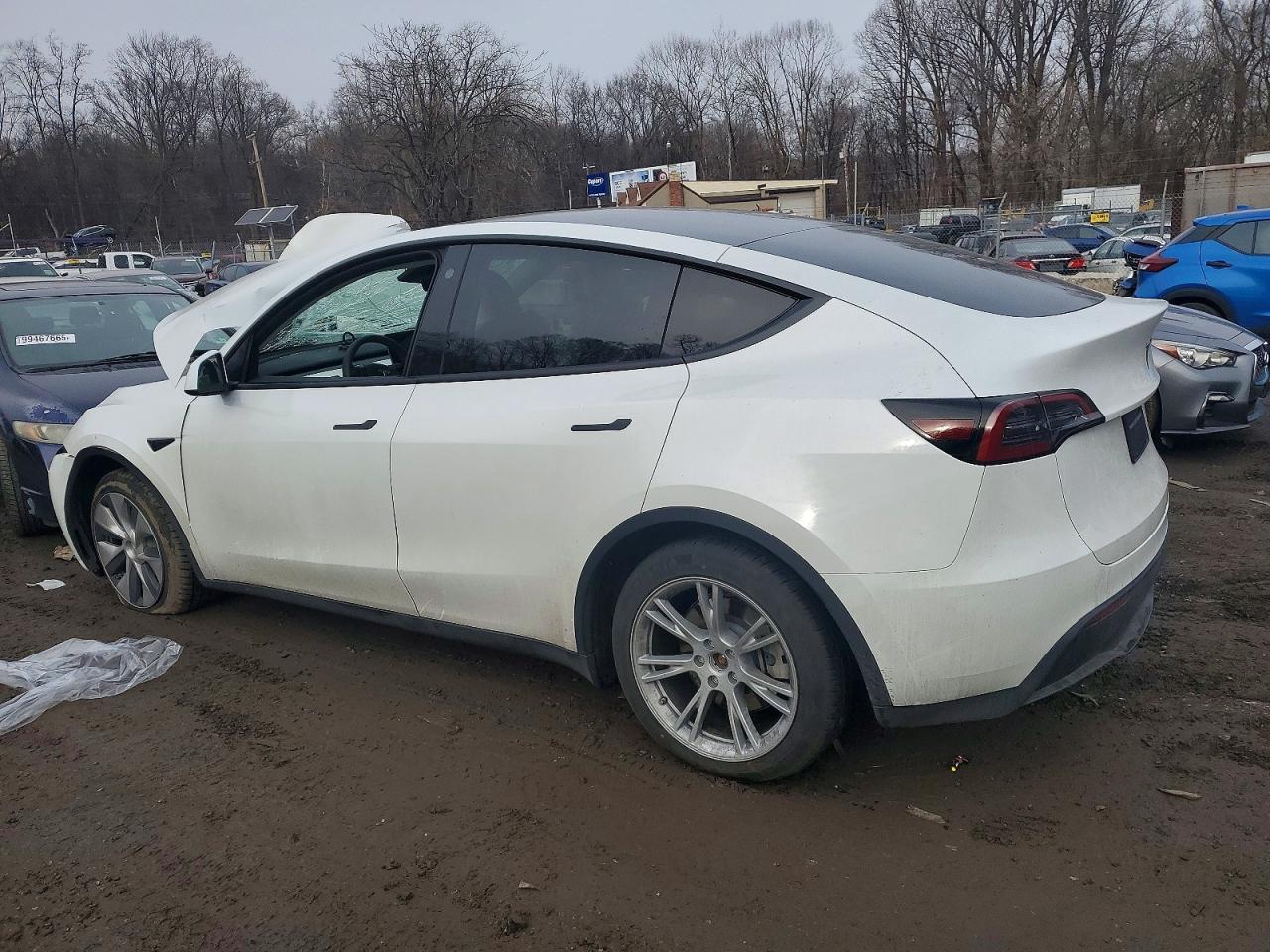 2023 Tesla Model Y - zdjęcie 2