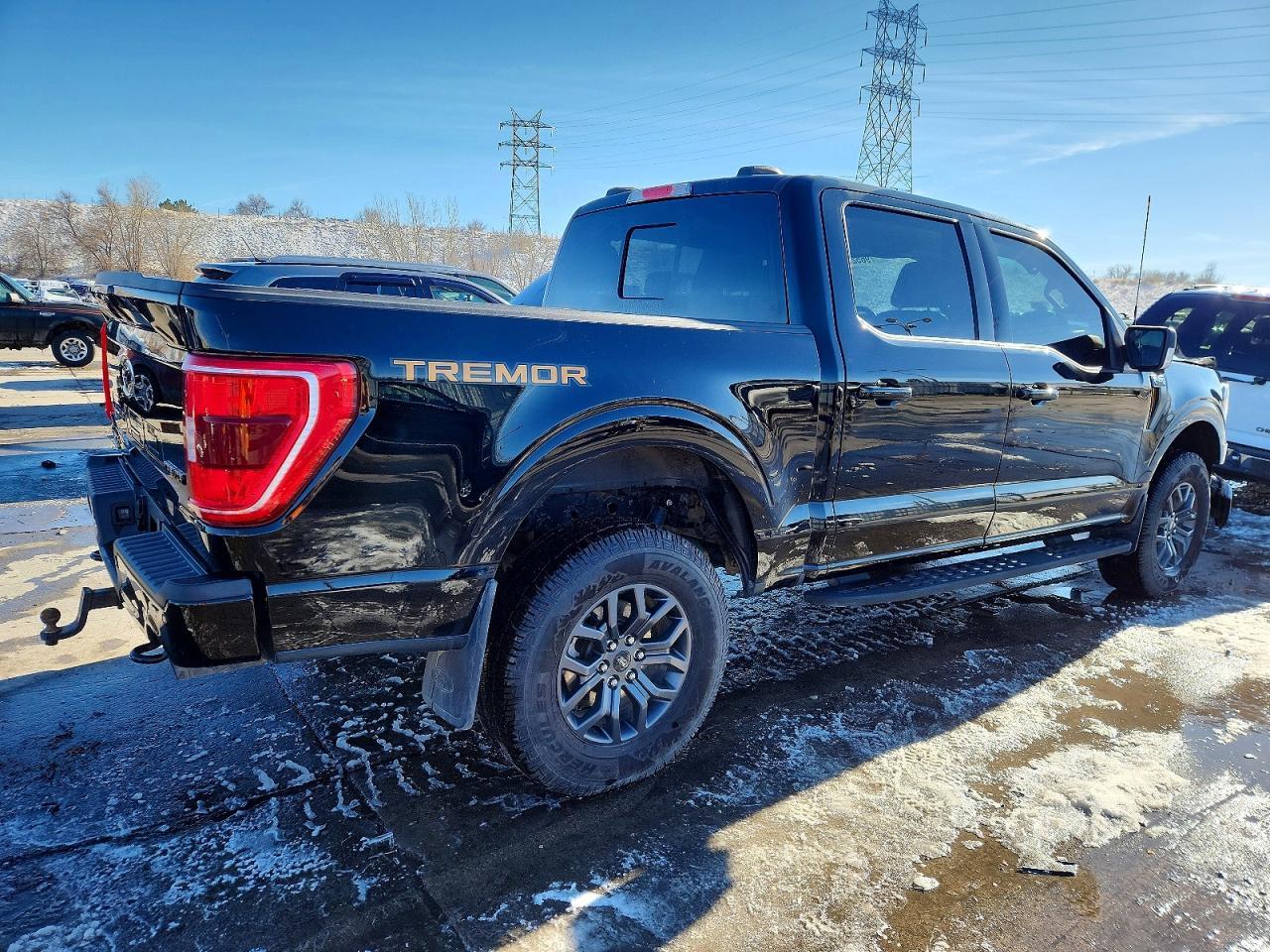 2023 Ford F150 Supercrew - zdjęcie 3