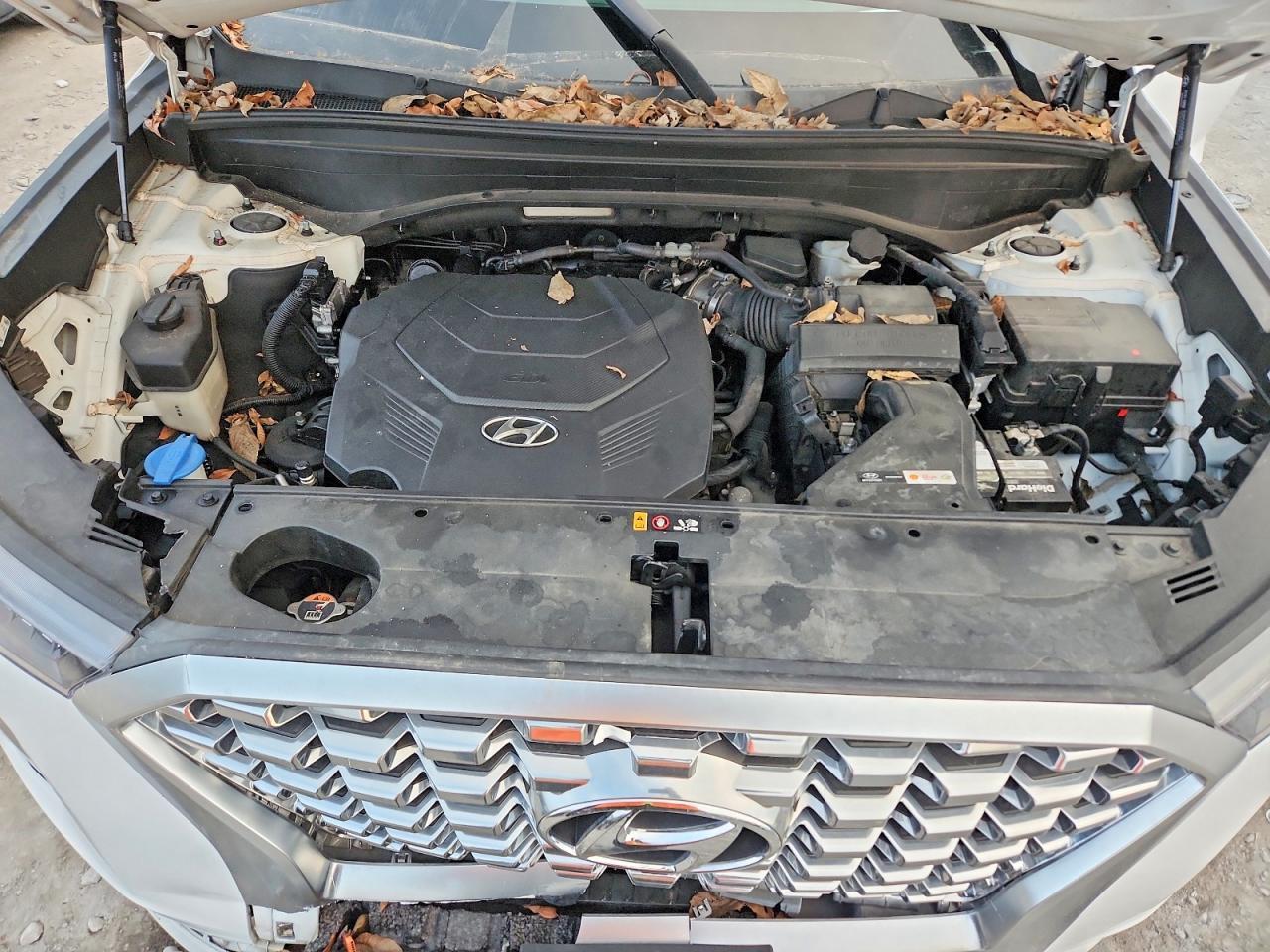 2021 Hyundai Palisade Limited - zdjęcie 12