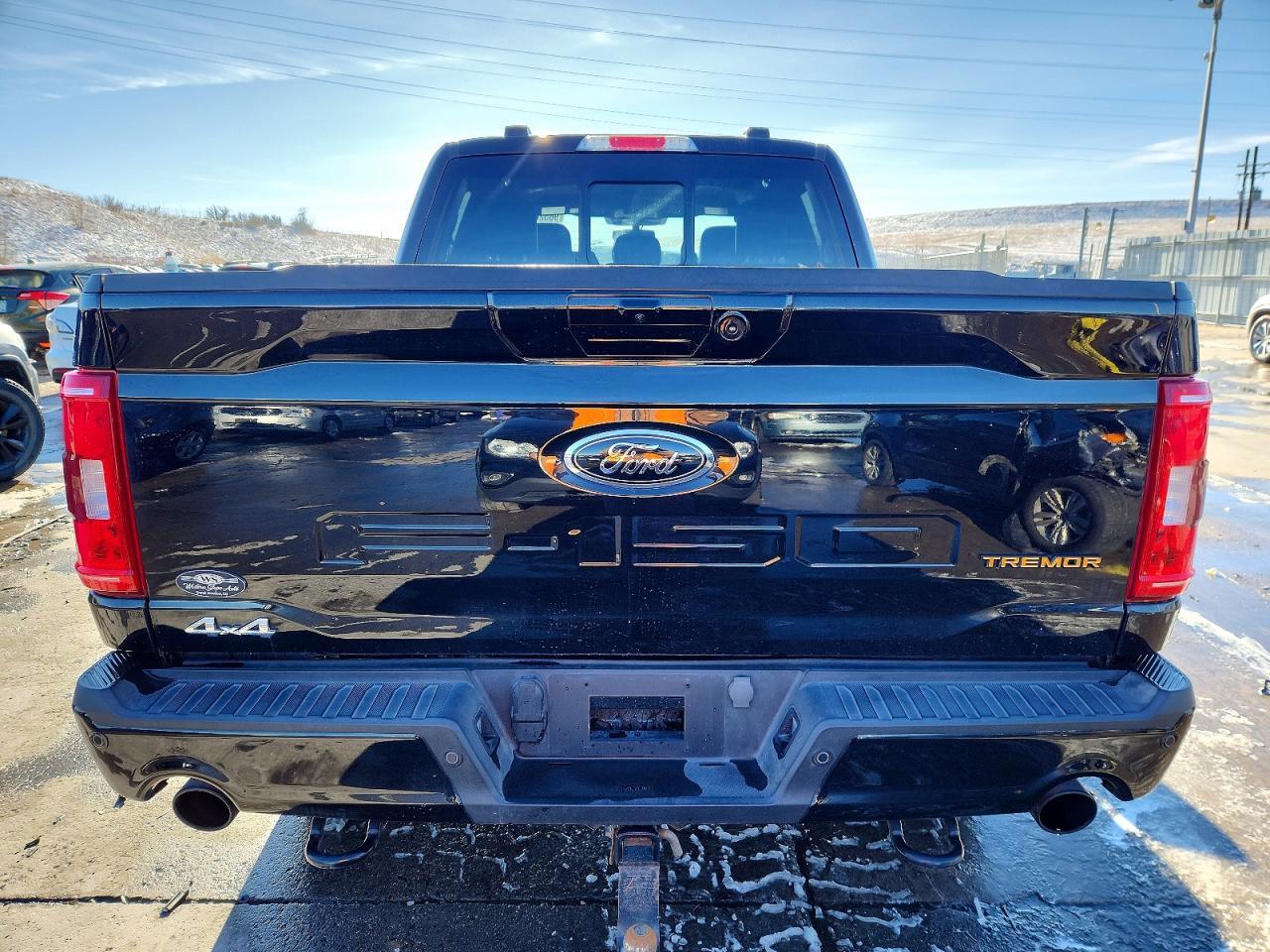 2023 Ford F150 Supercrew - zdjęcie 6